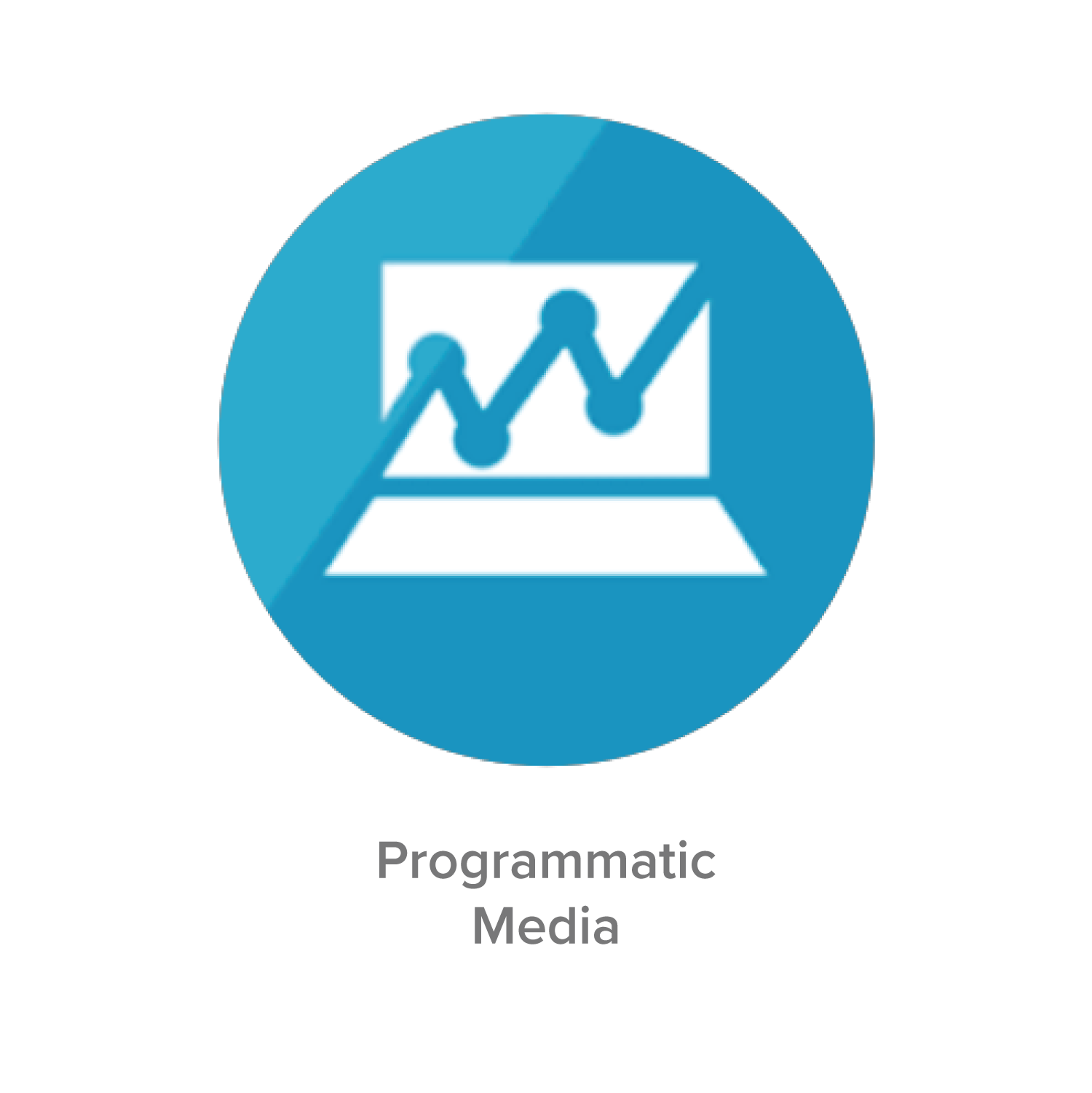 Programmatic Media graphic